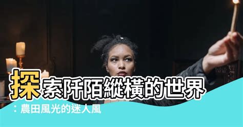 阡陌縱橫意思